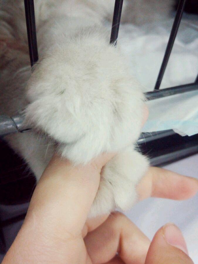 无线端详情页优化技巧：如何提升用户体验与转化率