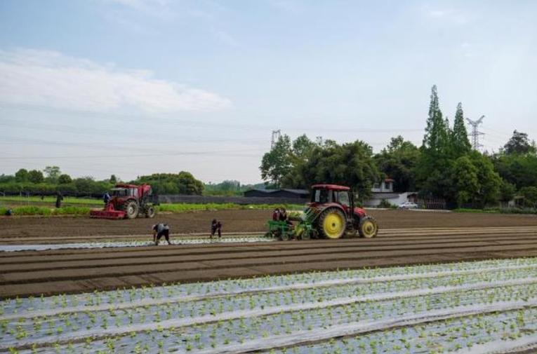 为什么我的导航条总是对不齐？