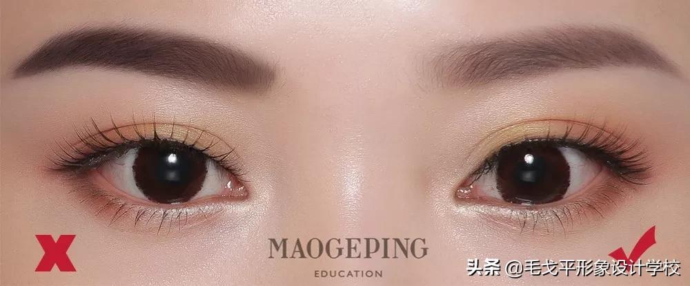 画眉鸟到底该怎么养才不会翻车? 画眉鸟到底该怎么养才不会翻车?