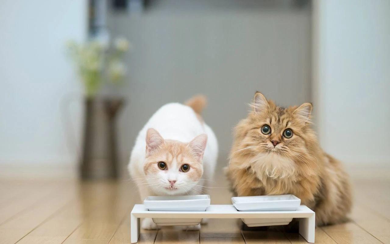 2009年国庆大阅兵藏着多少 第一次 ？