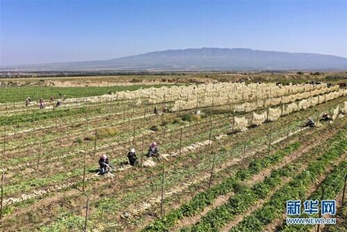 你的手机号码藏着不为人知的命运密码？