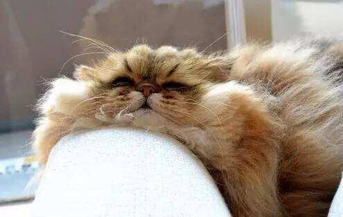 淘宝格子铺不花一分钱能爆单吗？