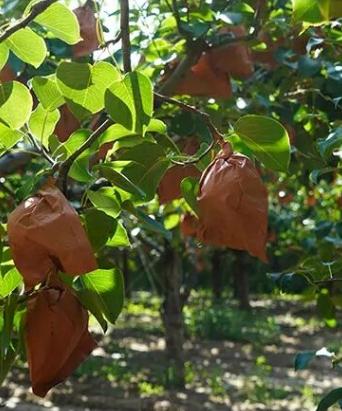 淘宝店铺做到皇冠有多难？