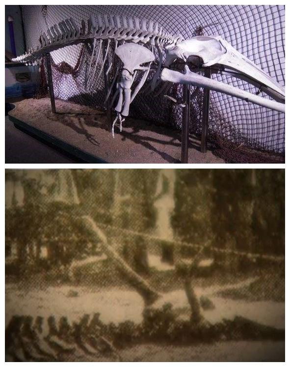 新手如何在欢型淘宝商城月入过万？