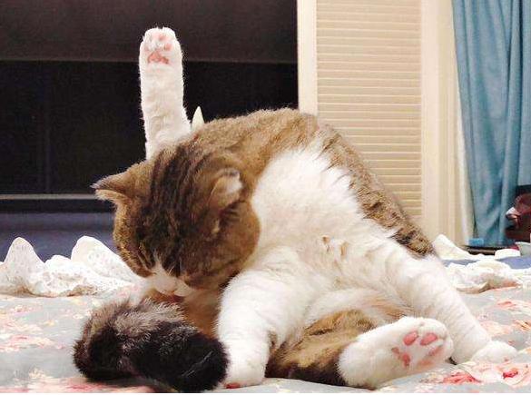 新手如何在淘宝开服装店三个月回本？