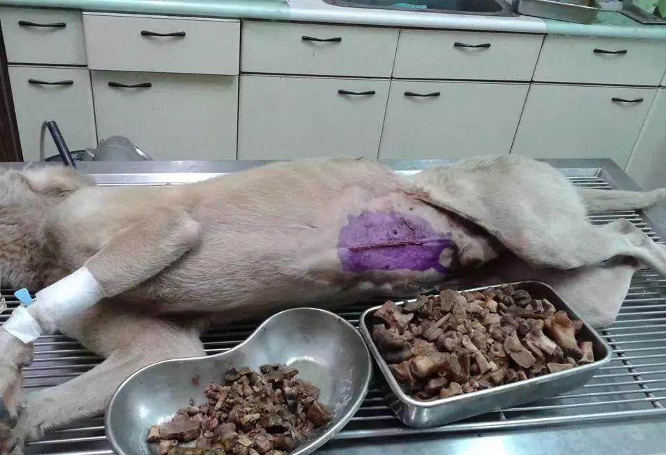 淘宝浏览量多少才能成交？提升浏览量转换率的实用技巧