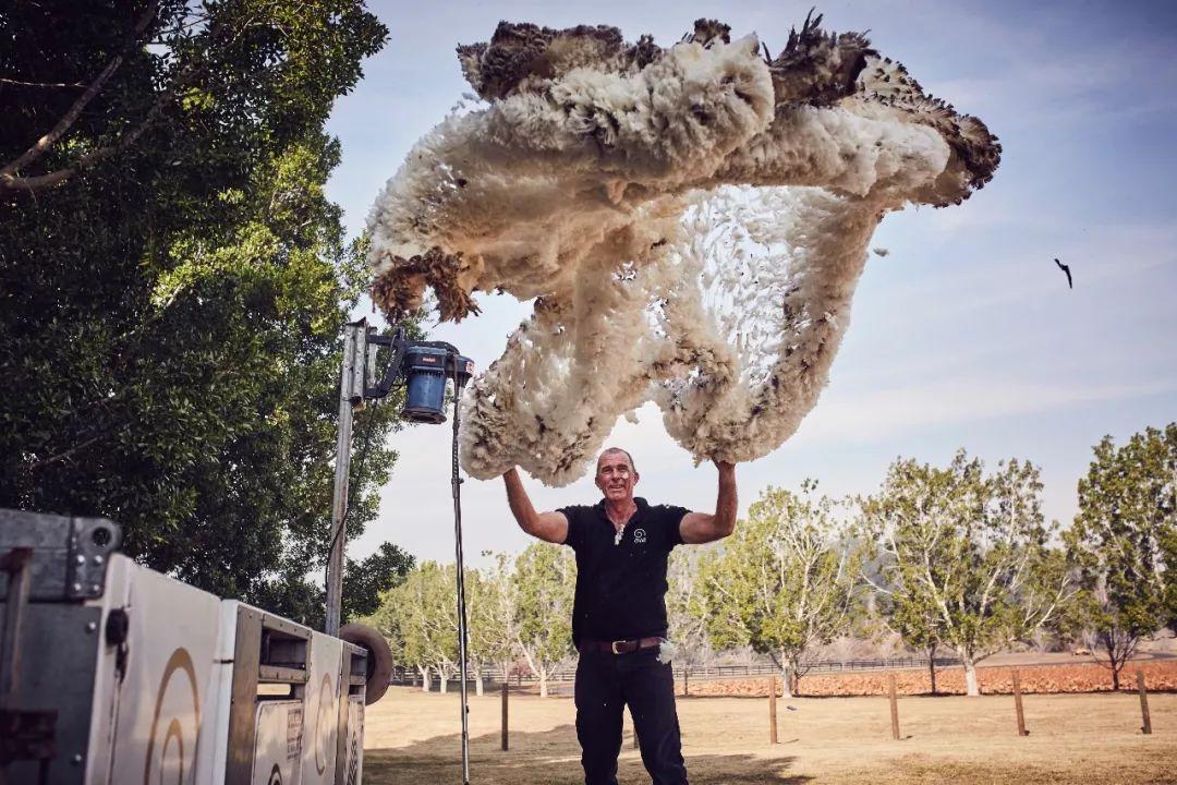 在澳洲混华人论坛到底靠不靠谱？