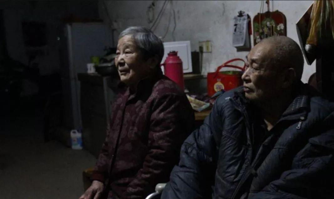 鸽子拉稀带血真是毛滴虫病吗？