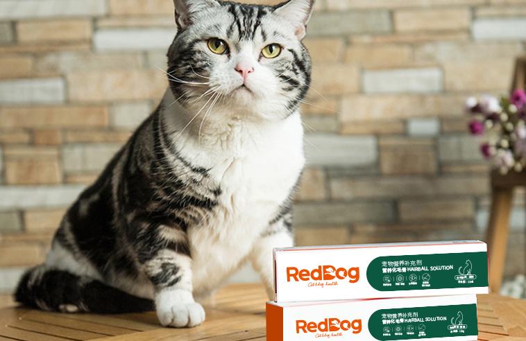 2023年黄姓小孩名字大全：丰富选择与美好寓意全解析