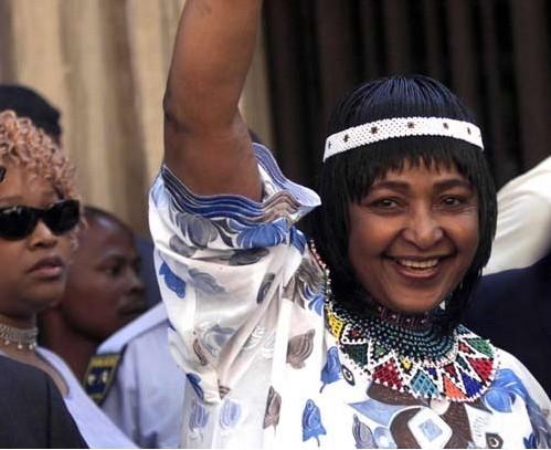 波奇网：全面关爱宠物生活的贴心之选