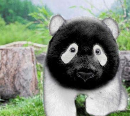 你的眼睛真的长对了吗？