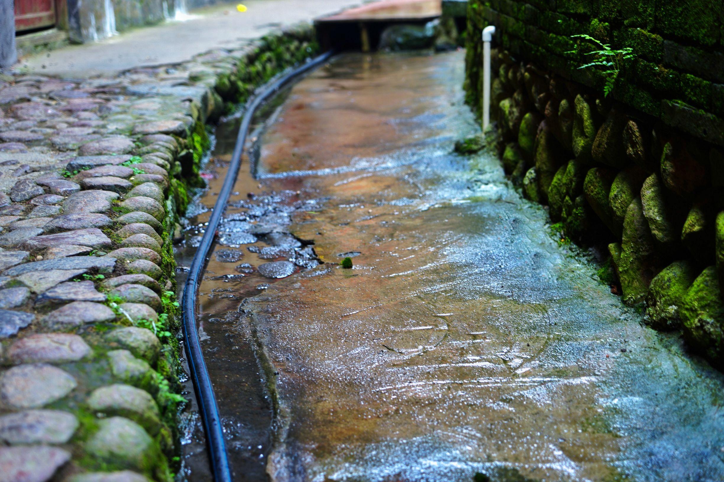 蛇的世界究竟有多神奇？