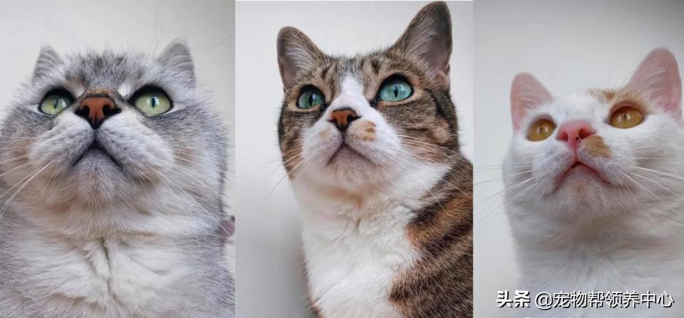 淘宝号快速升3心的5个实用技巧，轻松提升店铺信誉