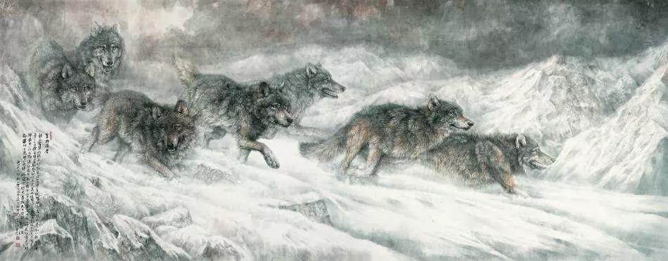 第一次去看藏獒展览会该注意什么？