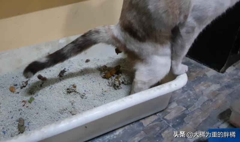 2024年9月搬家黄道吉日查询：哪几天最适合搬家？