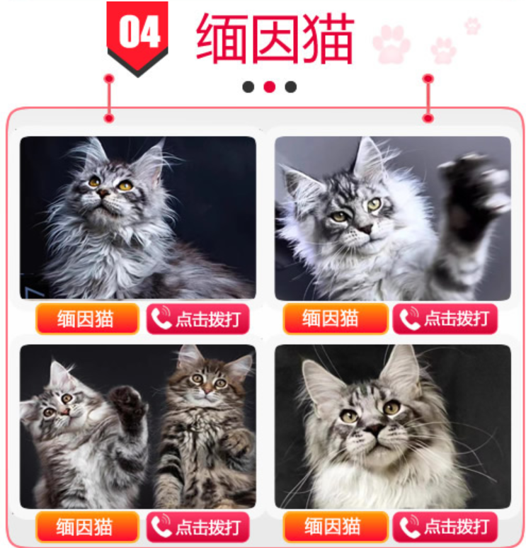 1990年1月5日出生的人命运如何？详细解析命理