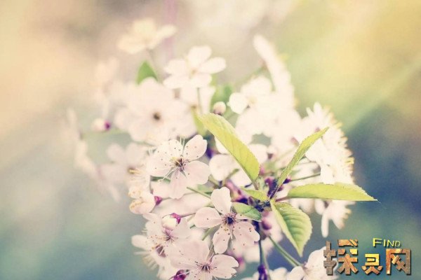 2022年这些生肖真会「犯太岁」吗？