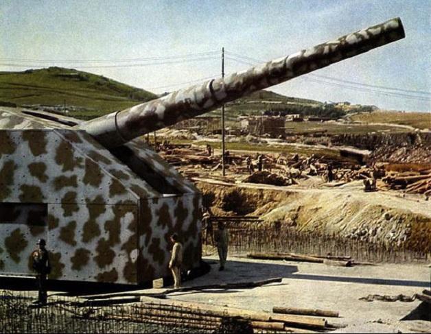 英国街头惊现60厘米巨鼠是真的吗？