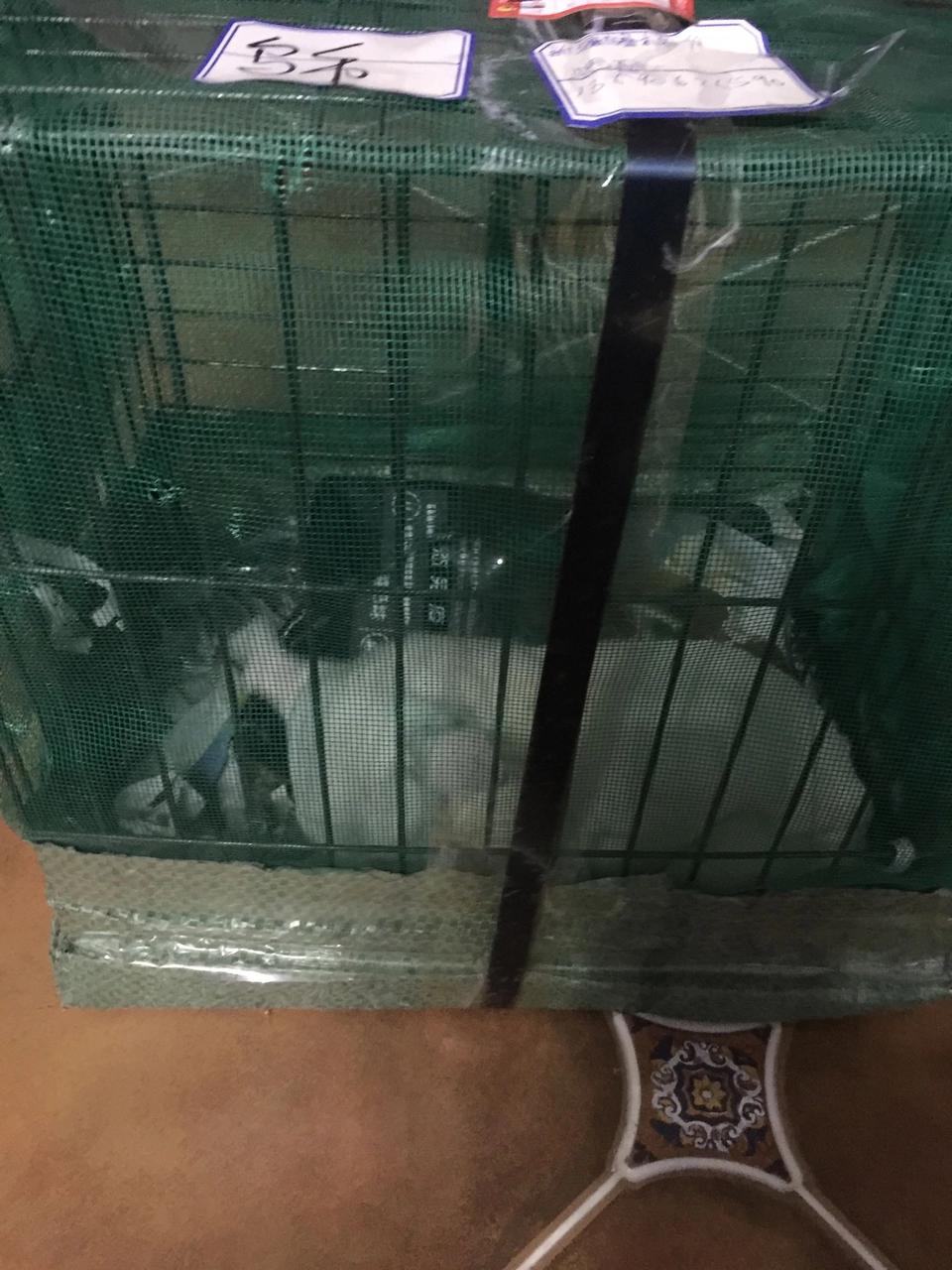 狗狗得了细小病毒还能救活吗？