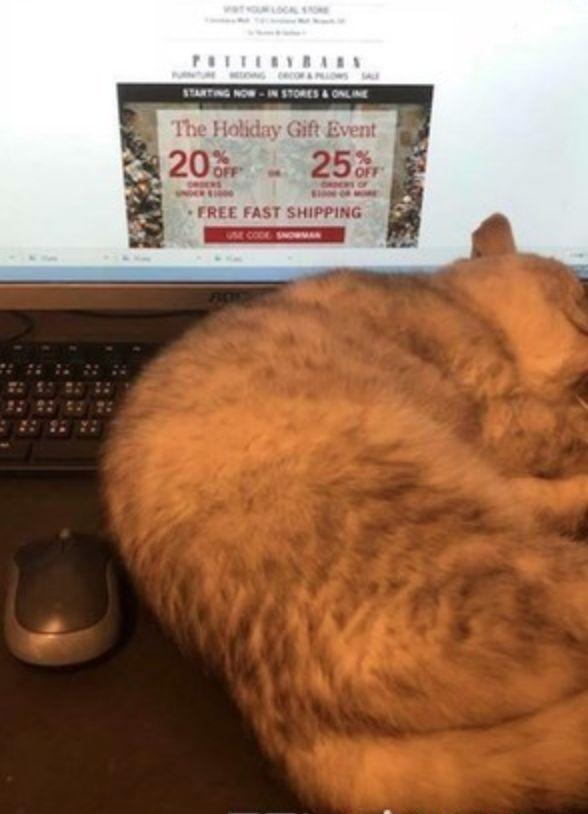 打淘宝客服电话真的不花一分钱吗？