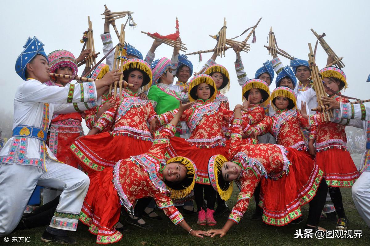 探索水族生态系统的关键要素及其重要性