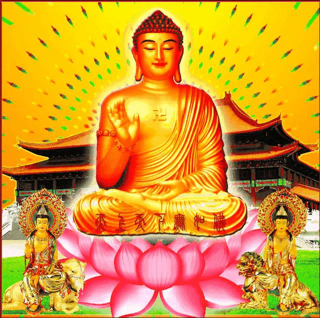 生宝宝要不要挑属相？这些秘密新手爸妈必看！