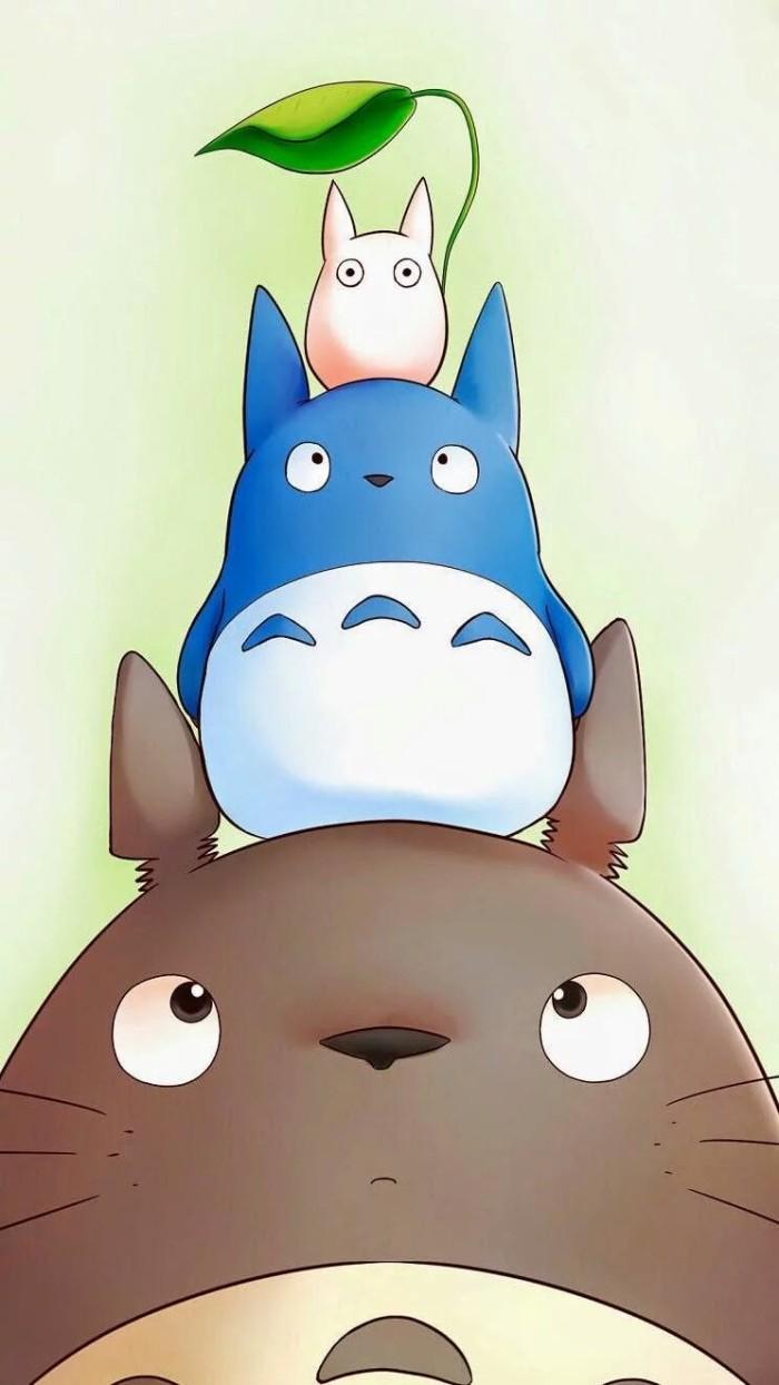 龙猫到底是什么动物？揭秘龙猫的真实身份与特征