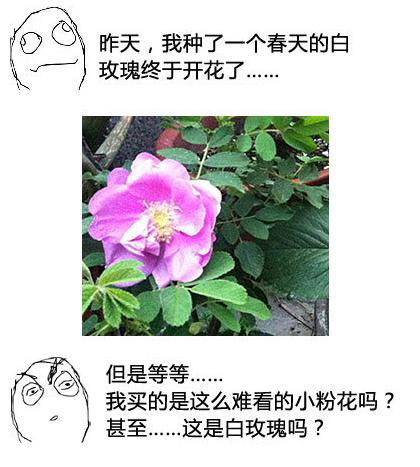 2013年的黄历到底准不准？