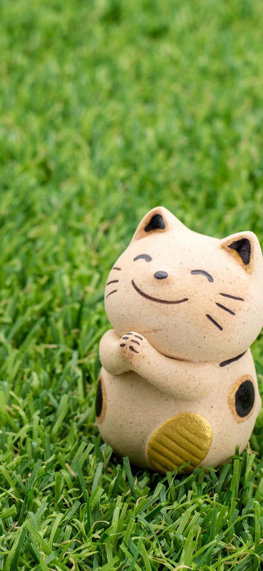 招财猫鱼好养吗？其适应能力极强，较易饲养