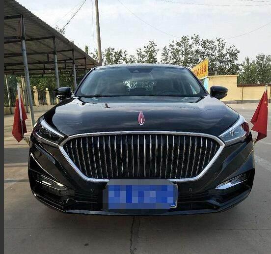 吉娃娃一直发抖的原因分析：狗狗发抖的多种情况及应对方法