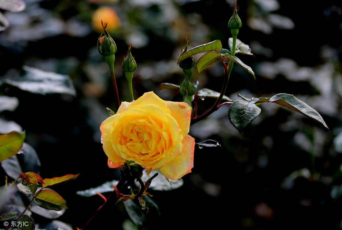 新手如何花对每一分钱？