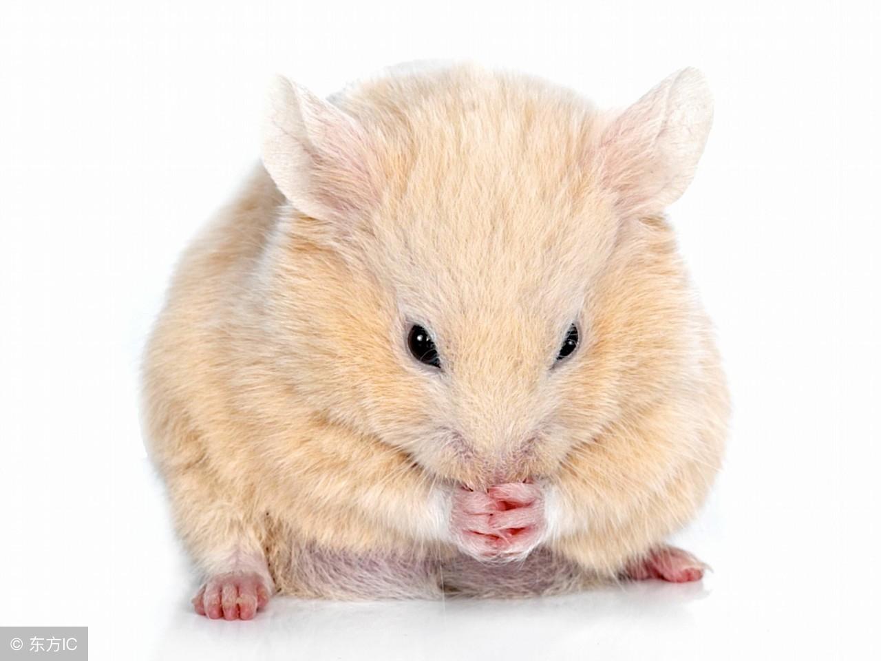 财神日拜错方法真的会破财吗？