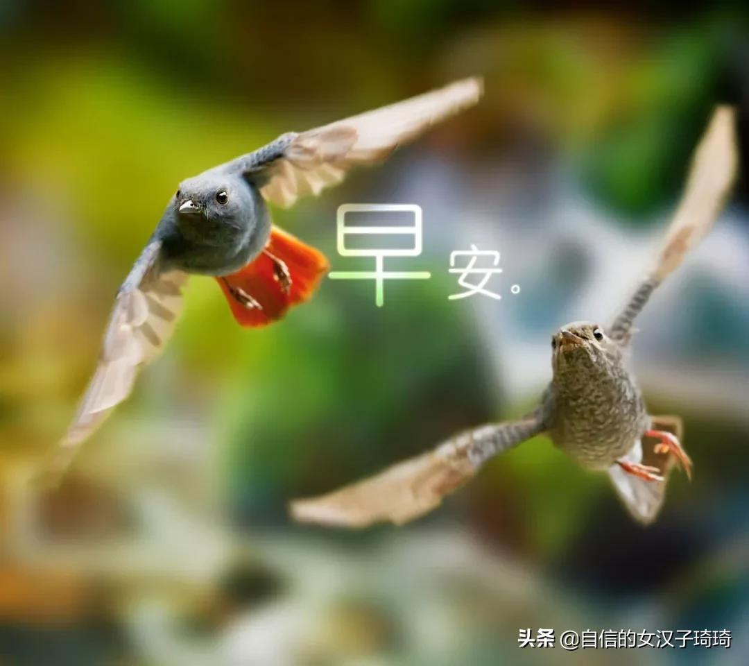 为什么中国人总说 今天农历几号 ？