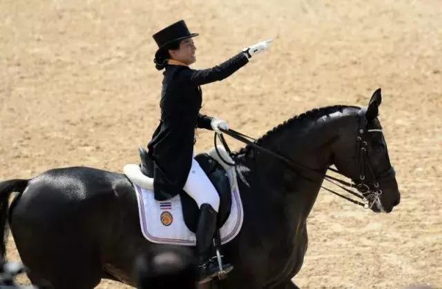 贵族狗粮真的算天然粮吗？看完这篇你就知道答案！