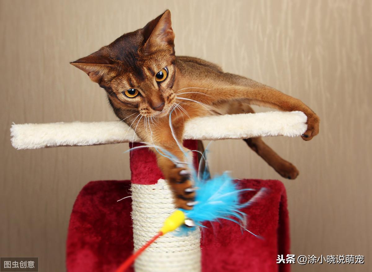 6月7日星座生日运程书：详细解读你的星座运势与未来