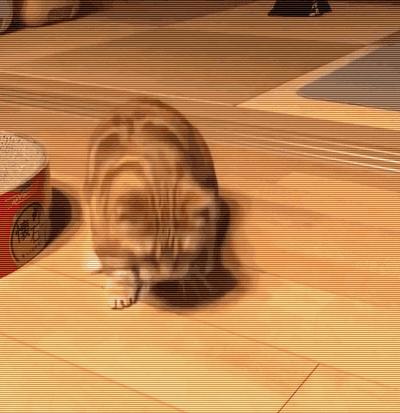 刚来大马总踩雷？华人家庭做客规矩你懂多少？