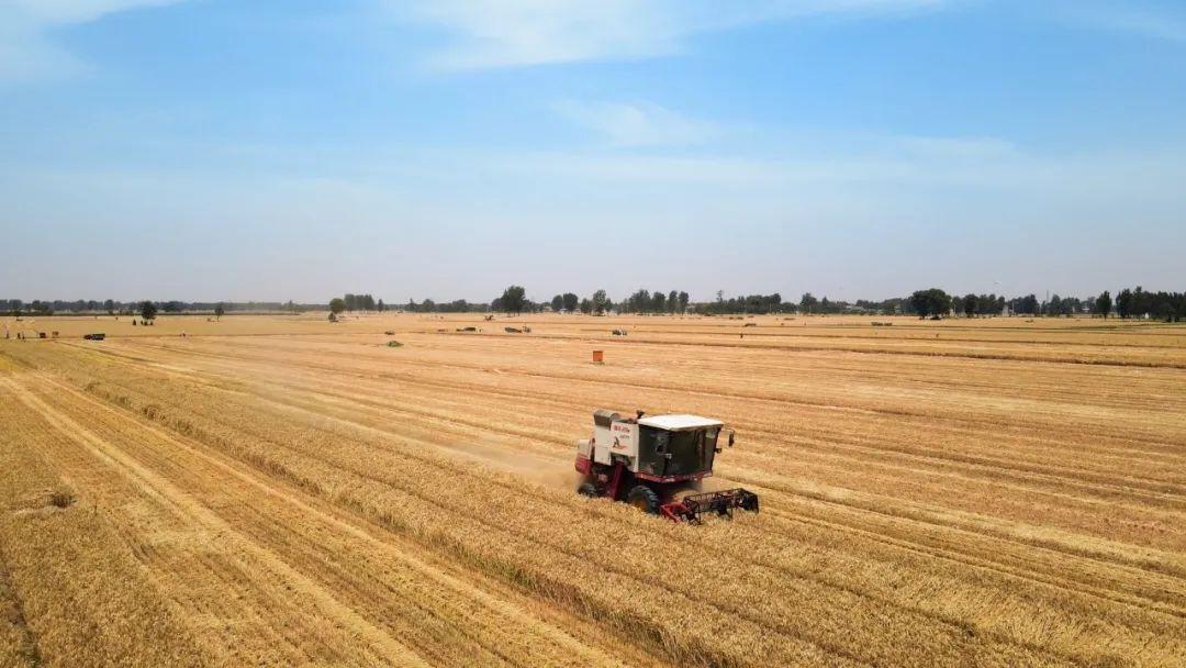 追剧看到一半记录全没了？这些方法能救急！