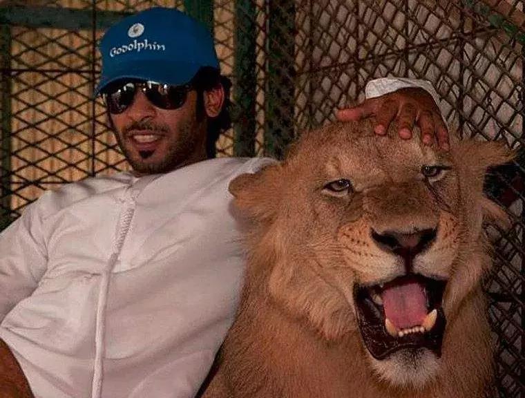 皇帝鱼怎么养才能活过三个月？