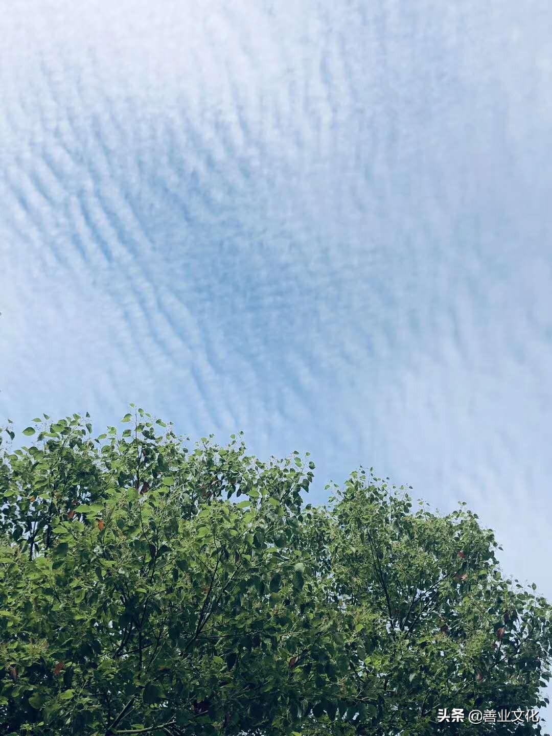 闰月出生的孩子命不好？