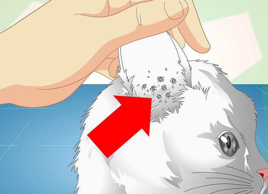 孙书筠的逆袭之路能给普通人什么启发？