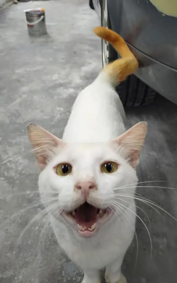 淘宝集运自取流程详解：如何轻松完成自取操作