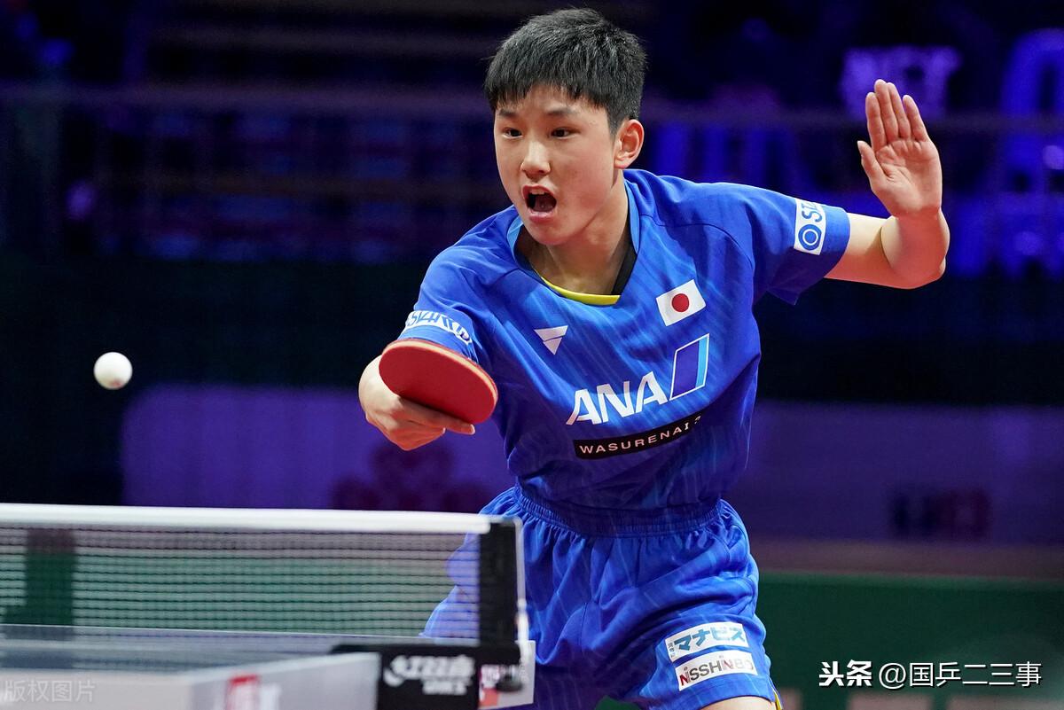 新手养七彩神仙鱼真的会三天死光吗？