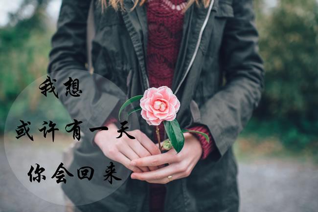 女孩带杉字寓意好的名字大全，优雅又有内涵的命名指南