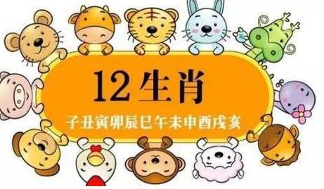 1949年出生到底属什么生肖？