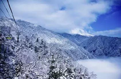 抖音评论区怎么突然白茫茫一片？iOS用户如何自救？