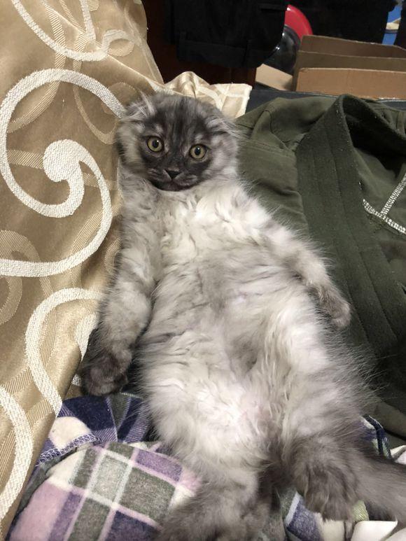 八字五行查询：深入探究八字中的五行奥秘