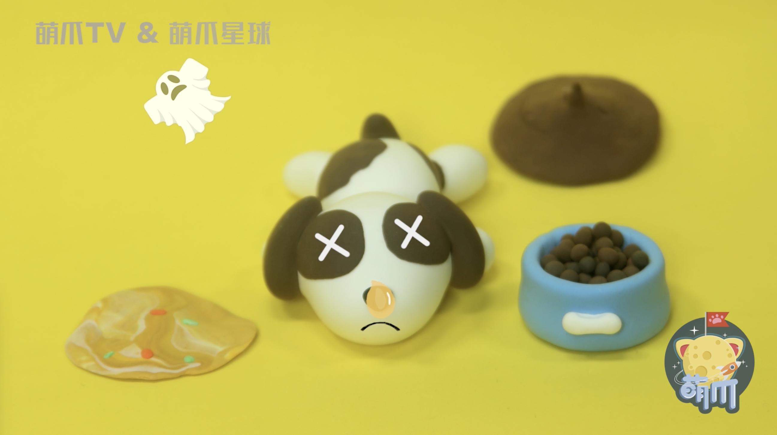 狗狗突然呕吐拉稀？可能是犬瘟热在作祟！