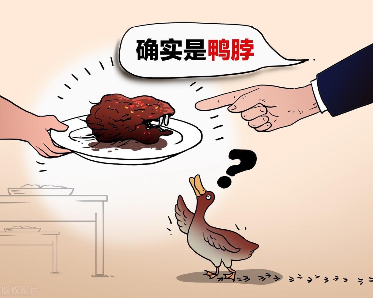 属鼠人2023年到底几岁？一篇文章帮你算清虚岁实岁！