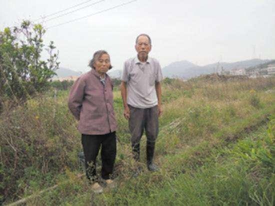 数字食堂—阳光云配送管理系统，系统创新与行业发展分析