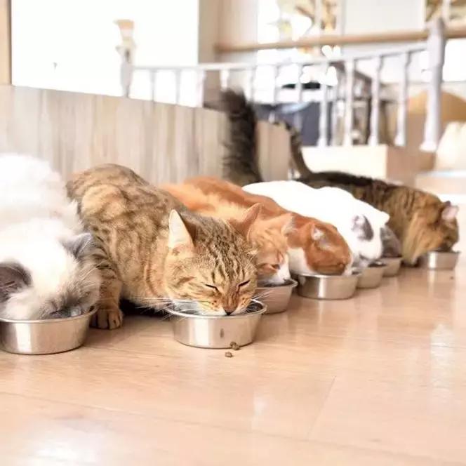 天猫超市入驻指南及天猫超市概念解析